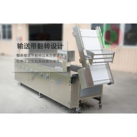 供應全自動清洗設備 蔬菜清洗機 蔬菜洗菜機廠家高效率 實用QX-25